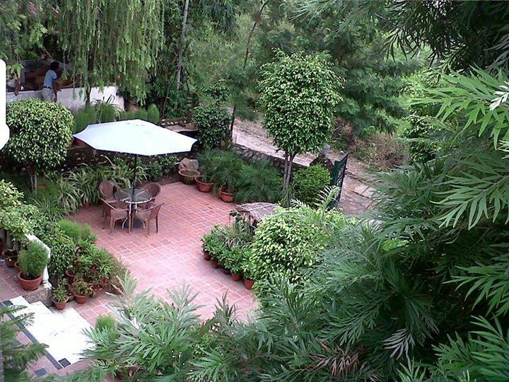 Baddi Siswan Jungle Lodge المظهر الخارجي الصورة